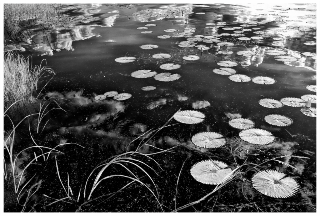 Main image Heaven and Earth