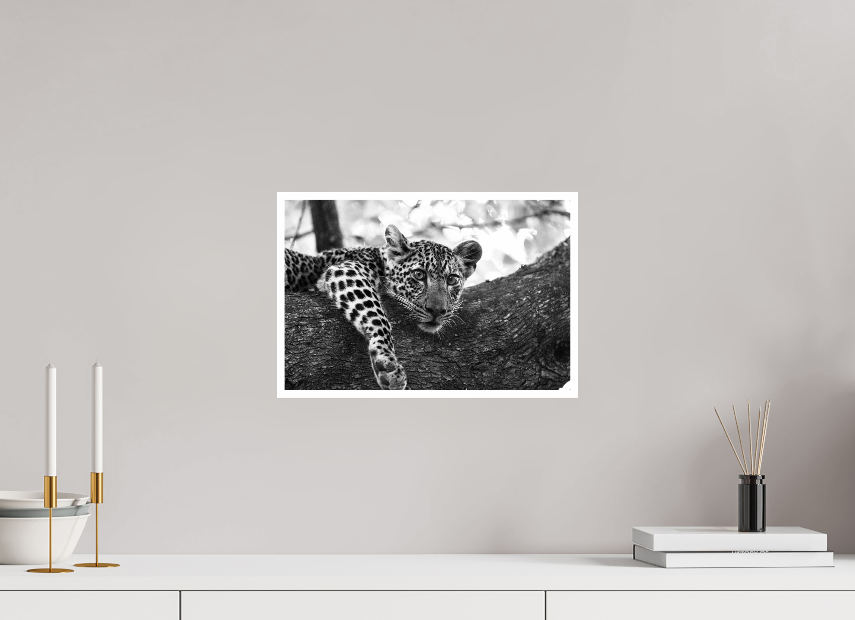 15 x 10″, Ilford Baryta Paper Leopard lounging...