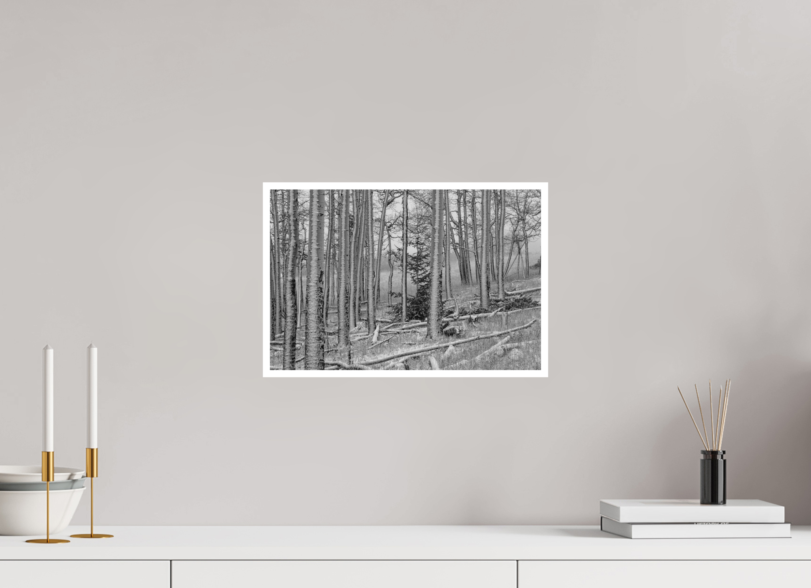 15 x 10″, Ilford B&W Paper: matte Winter's Brush