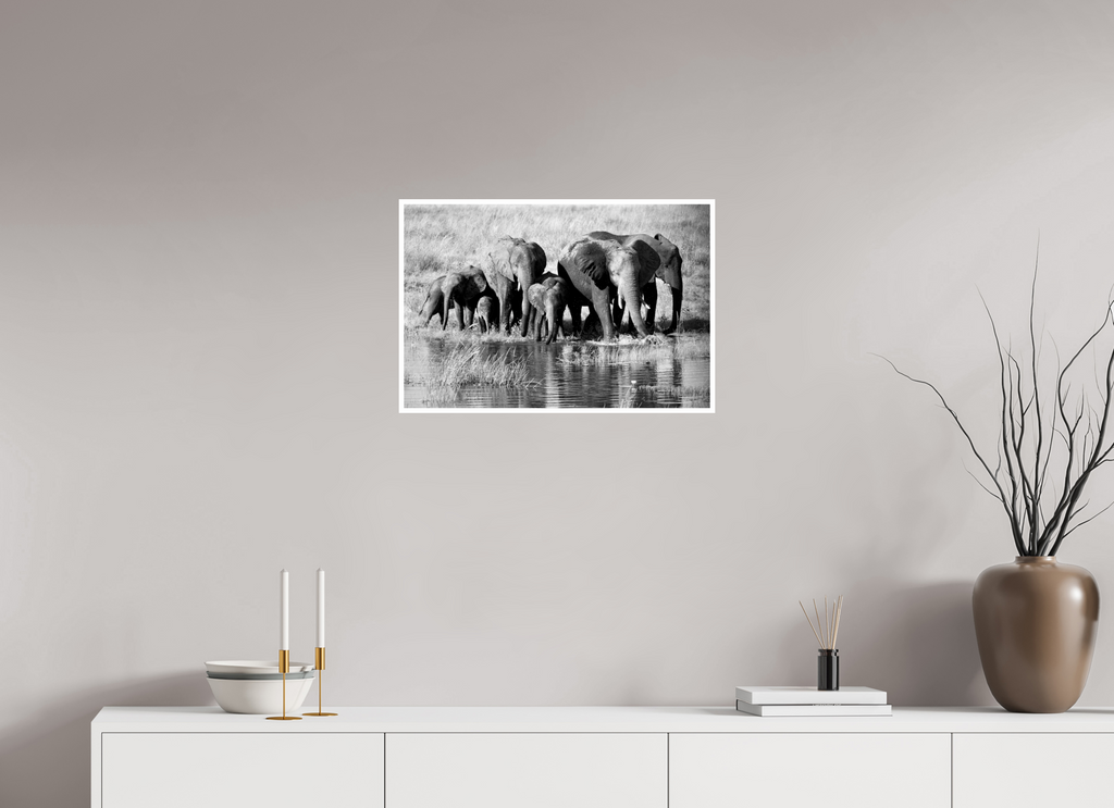 24 x 16″, Ilford Baryta Paper Elephant family