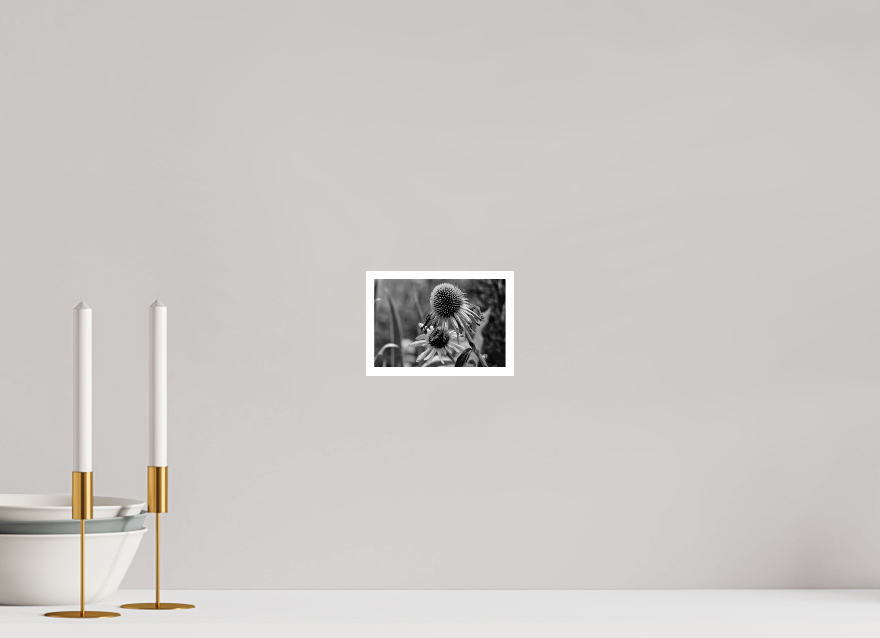 6 x 4″, Ilford B&W Paper: glossy Between Bloom and Shadow