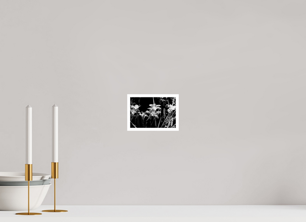 6 x 4″, Ilford Baryta Paper Ephemeral