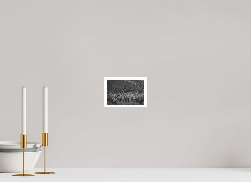 6 x 4″, Ilford Baryta Paper Last Light