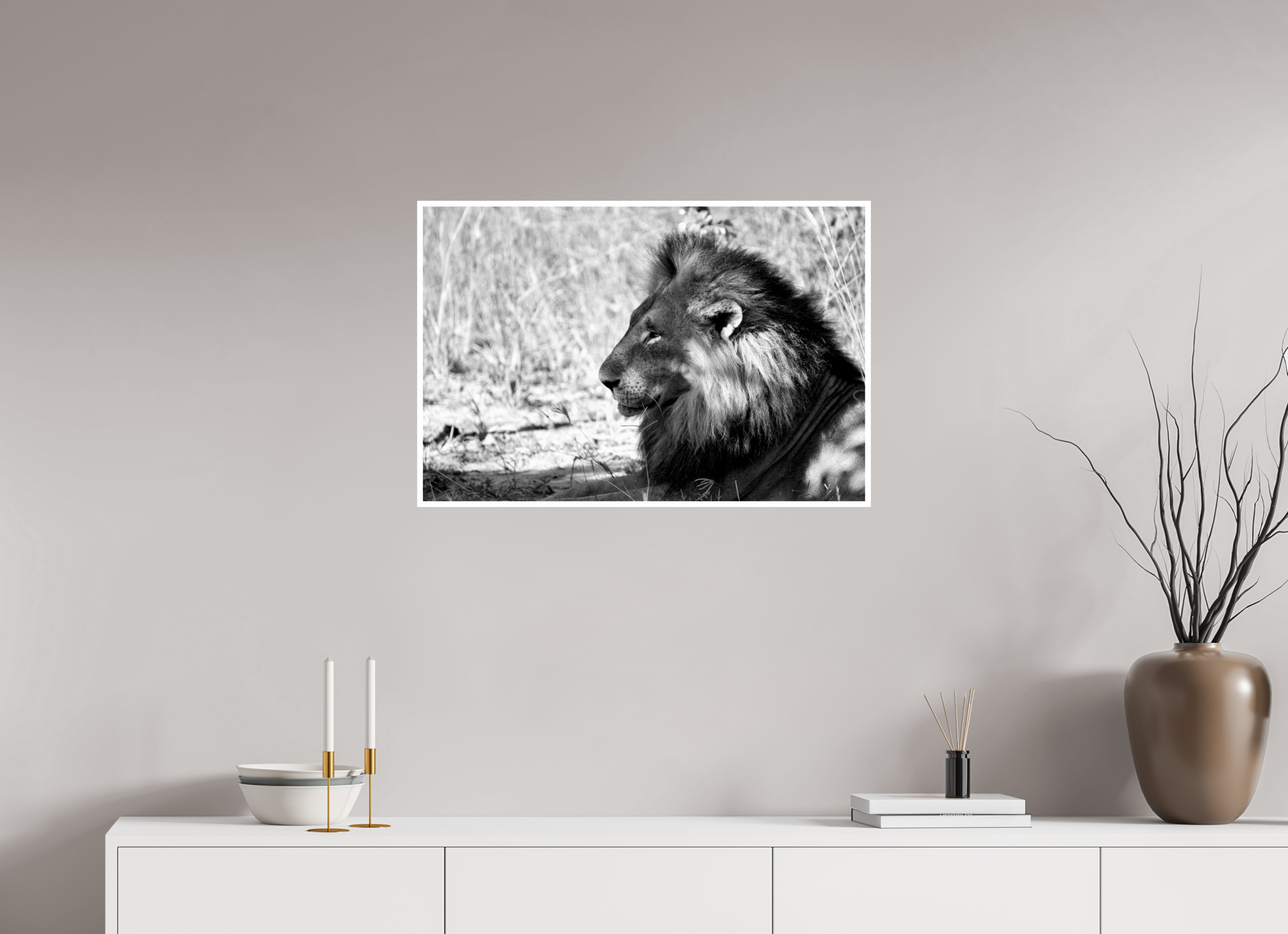 30 x 20″, Ilford Baryta Paper Portrait of an African Lion