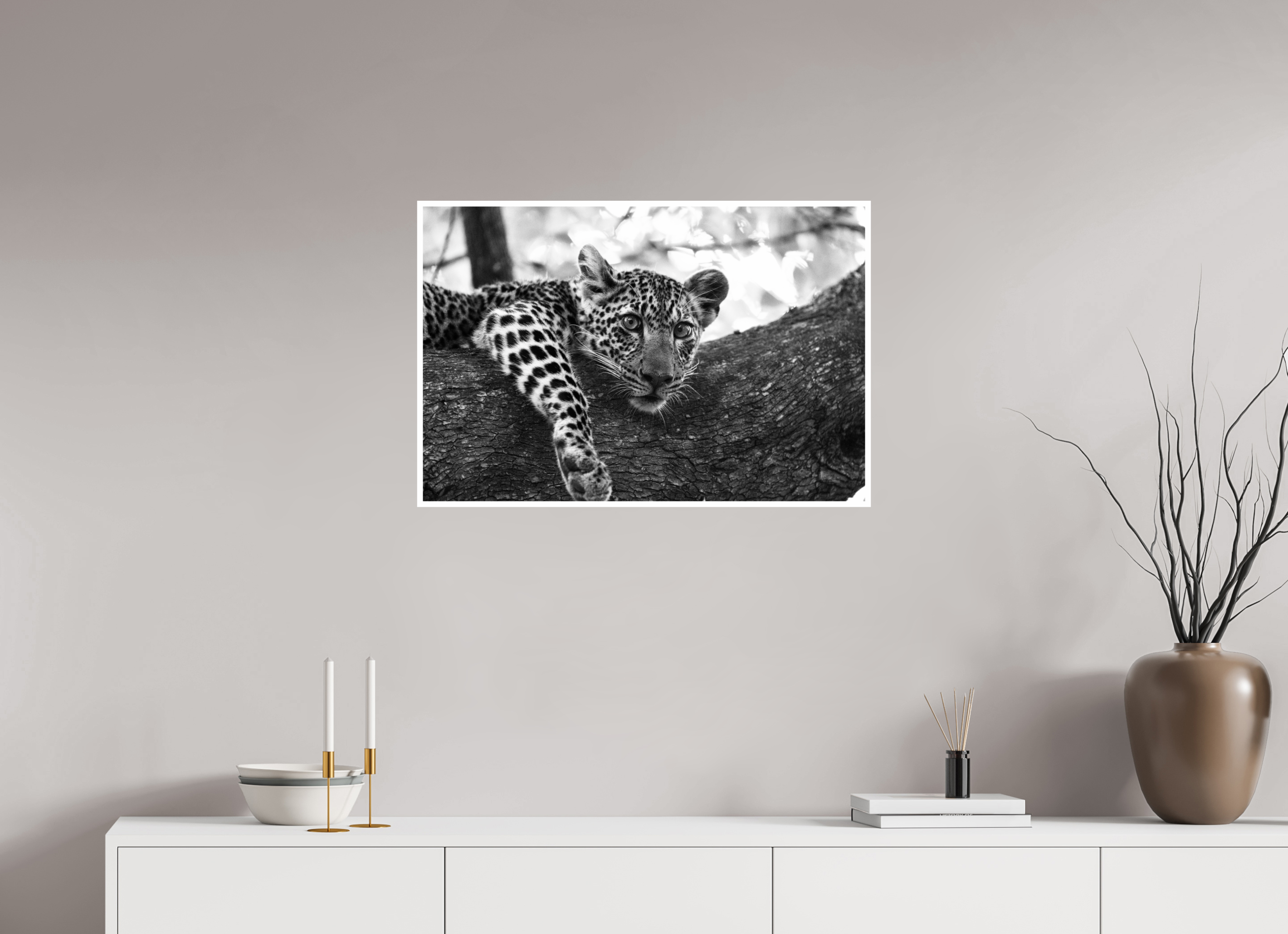 30 x 20″, Ilford Baryta Paper Leopard lounging...
