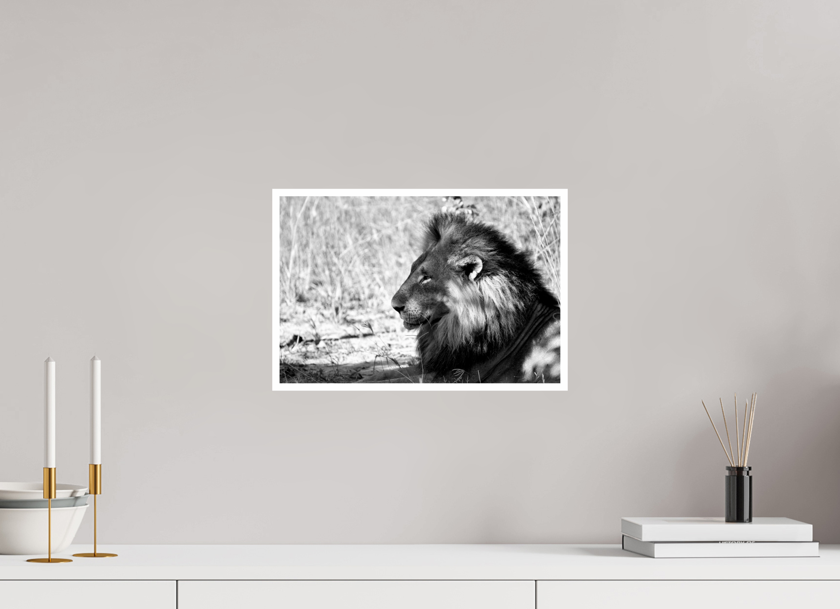 15 x 10″, Ilford Baryta Paper Portrait of an African Lion