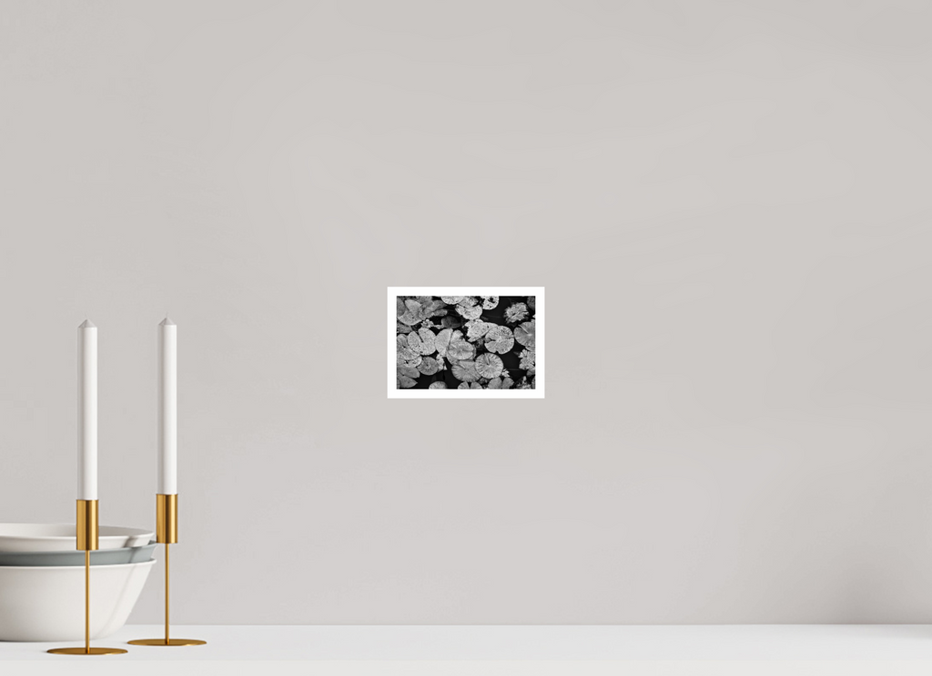 6 x 4″, Ilford Baryta Paper Floating Silence