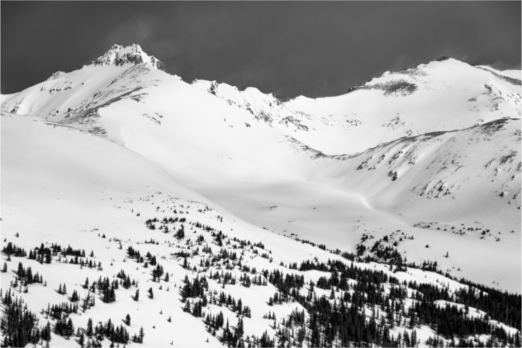 Main image The High Silence