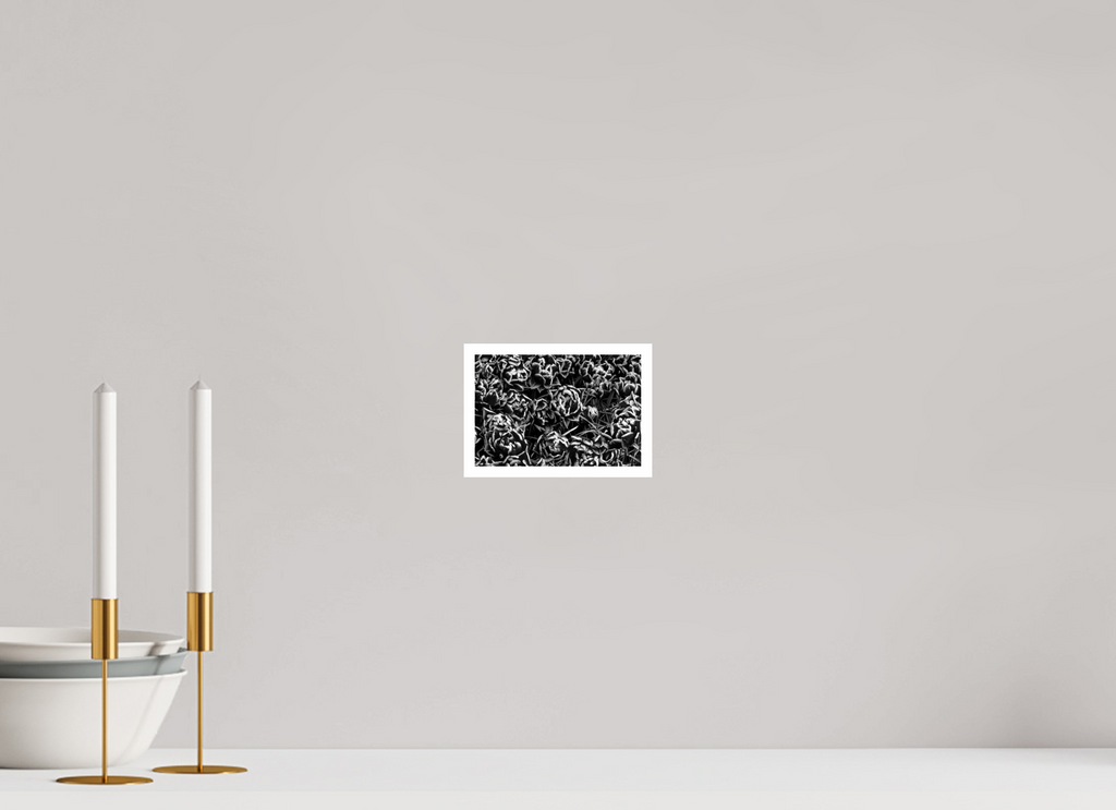 6 x 4″, Ilford Baryta Paper Organized Chaos