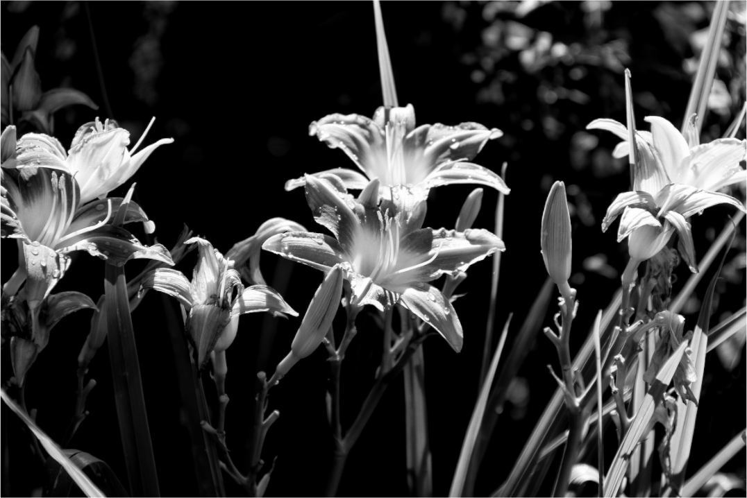 Main image Ephemeral