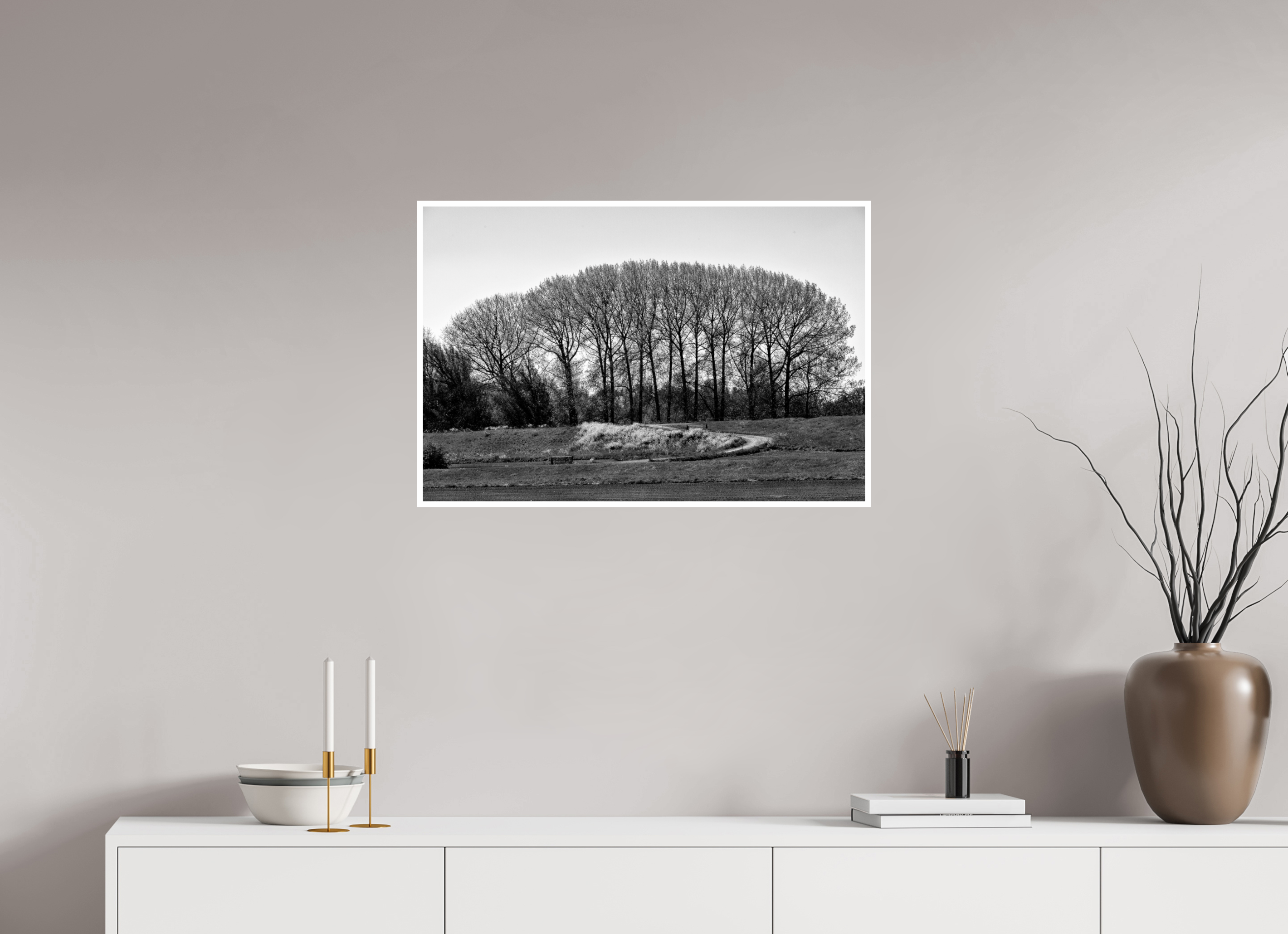 30 x 20″, Ilford Baryta Paper Netherlands Tree Row