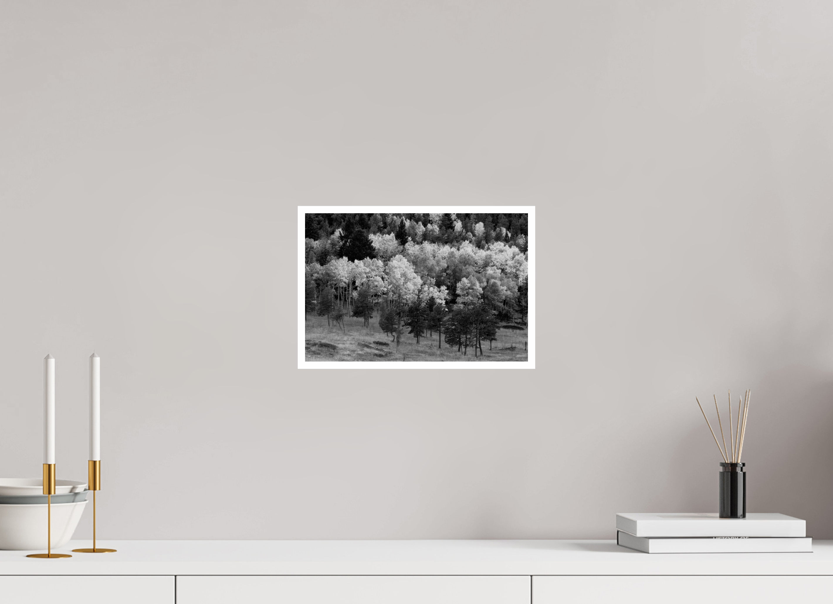 12 x 8″, Ilford B&W Paper: glossy The Season Breathes Light