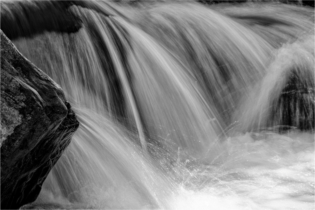 Main image The Shape of Water