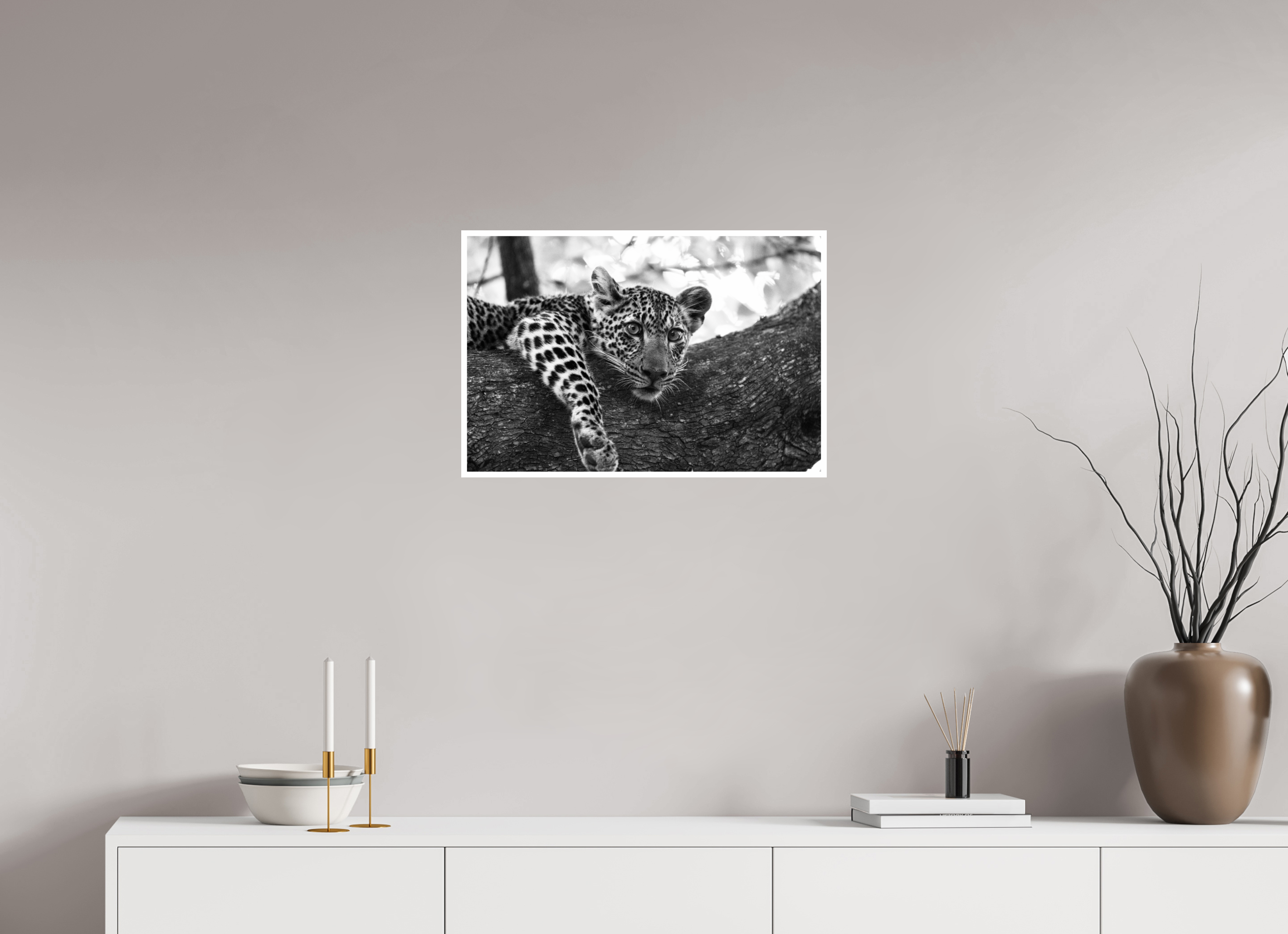 24 x 16″, Ilford Baryta Paper Leopard lounging...