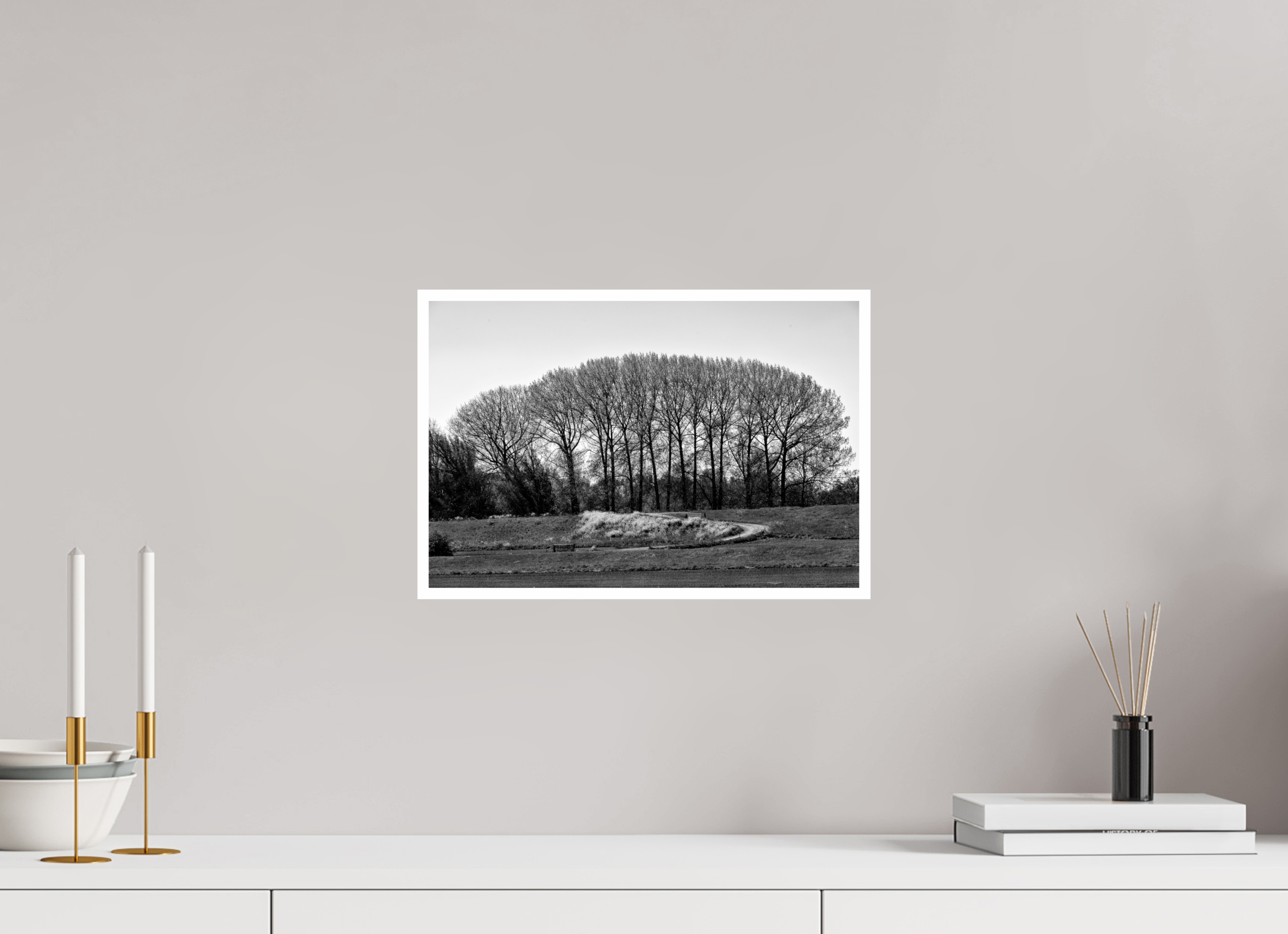 15 x 10″, Ilford Baryta Paper Netherlands Tree Row