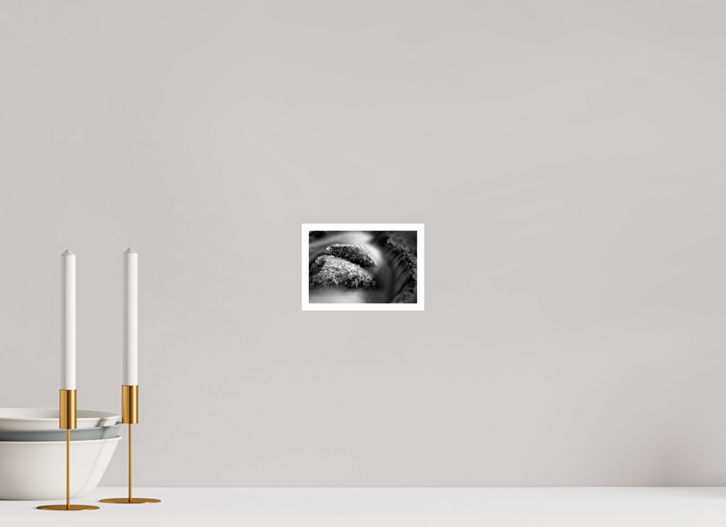 6 x 4″, Ilford Baryta Paper Water Plus Cold