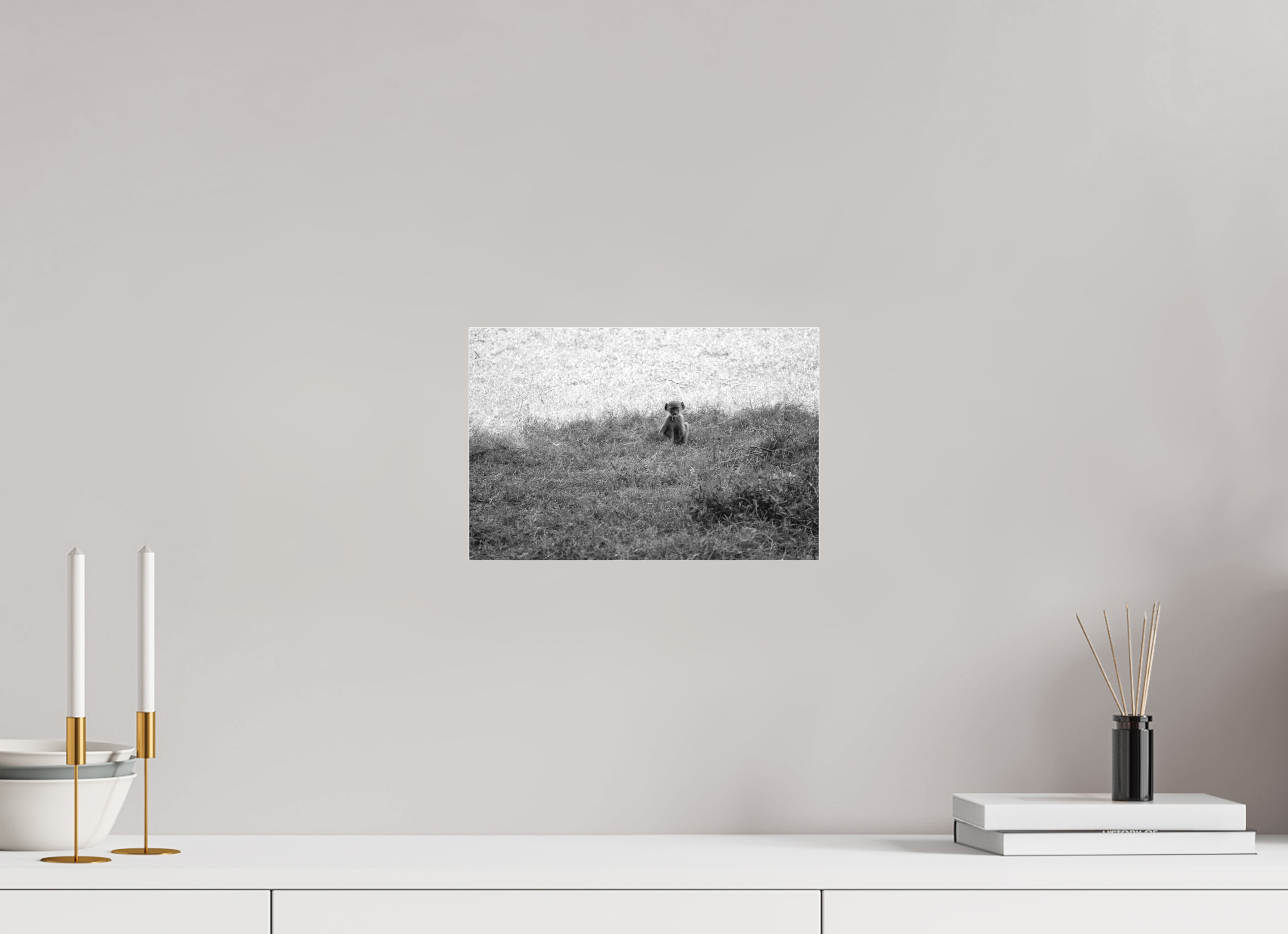 12 x 8″, Ilford B&W Under Acrylic: matte The Small Philosopher