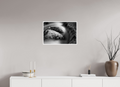 24 x 16″, Ilford Baryta Paper Water Plus Cold