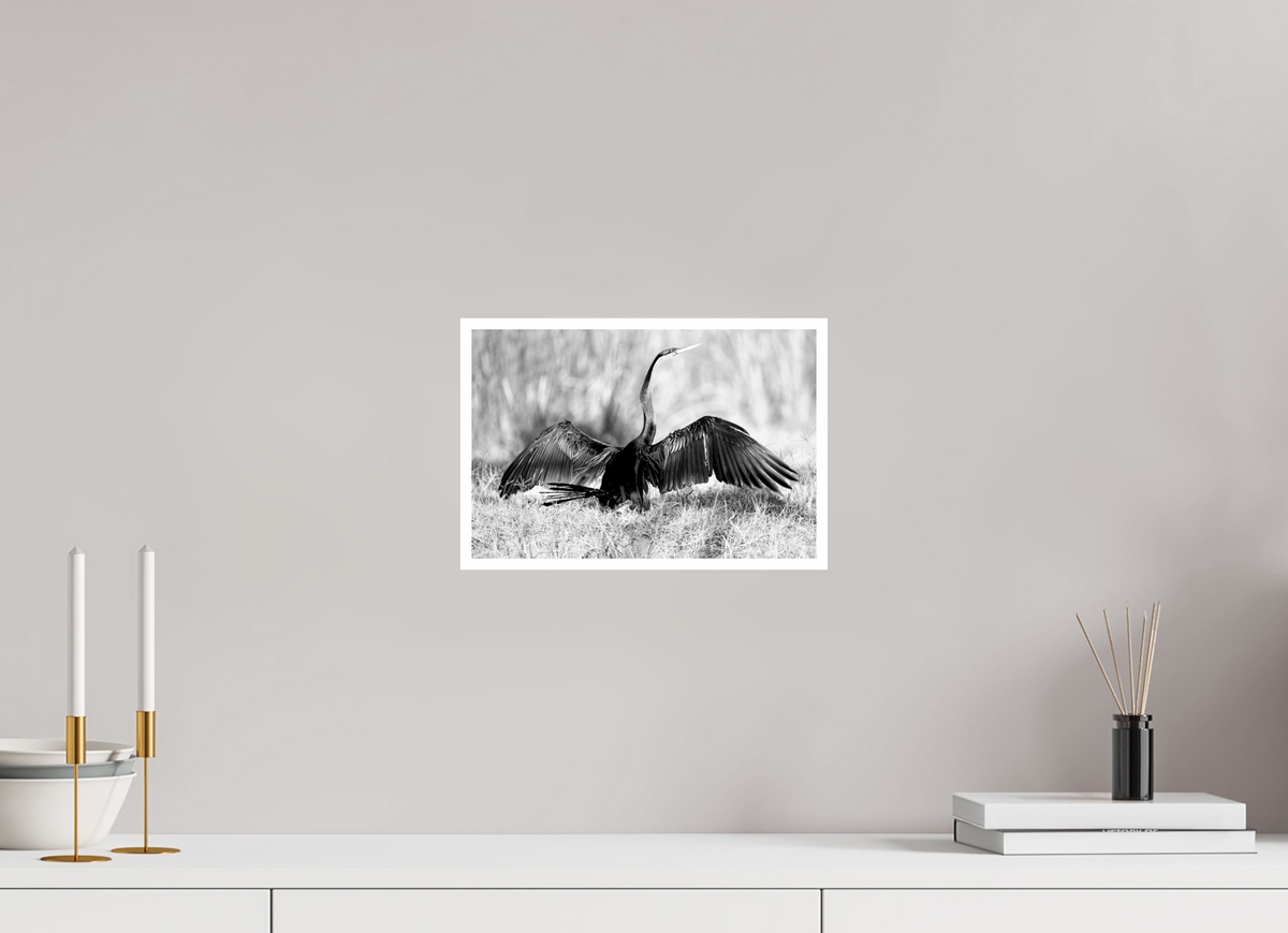 12 x 8″, Ilford Baryta Paper Full Display